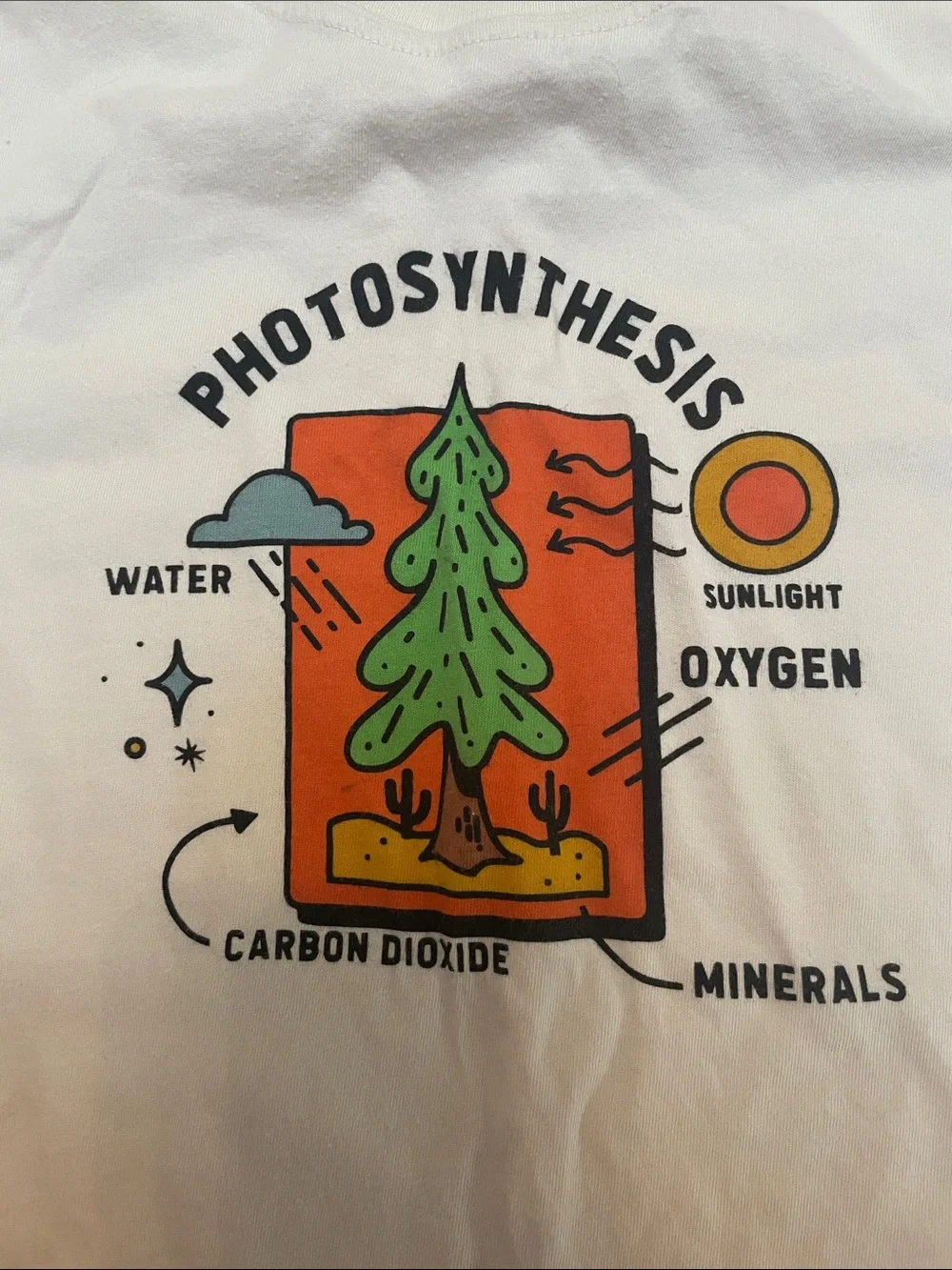 Hanna Andersson Photosynthesis Graphic Tee